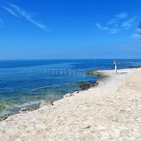 Appartement Modernes In Novigrad Mit Privatem Parkplatz By Interhome *